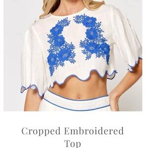 Vestique White and Blue Embroidered Crop Top